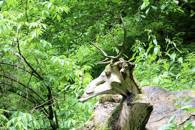 Land art v Čechách